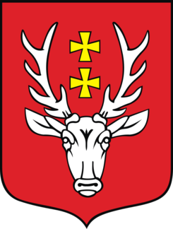 Image Here