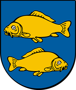 Image Here